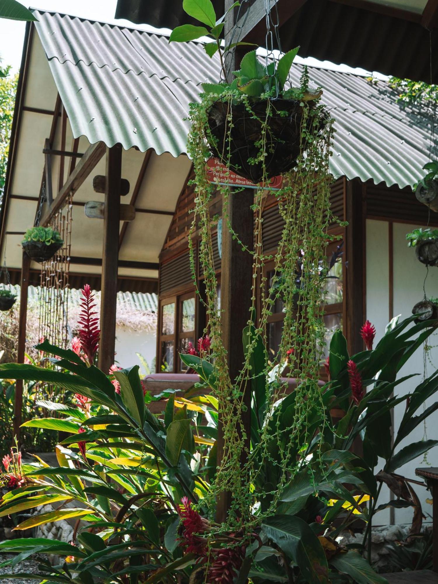 Nuba Boutique Hostel Palomino Exterior photo